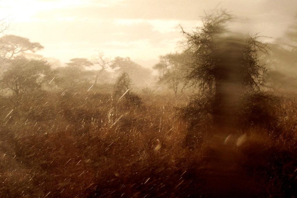 A rainy afternoon in Tanzania