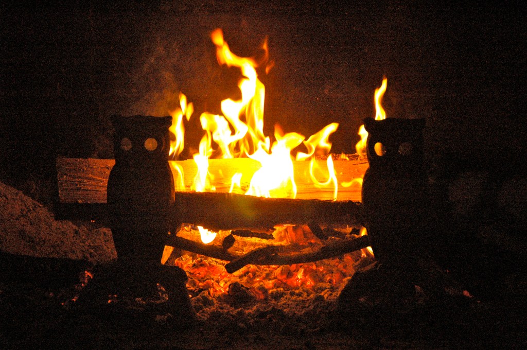 Staying put, what happens when you cannot&nbsp;go…