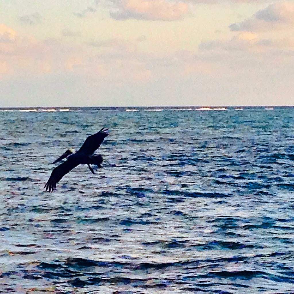 Mexico: a kayaking story for cinco de&nbsp;Mayo…