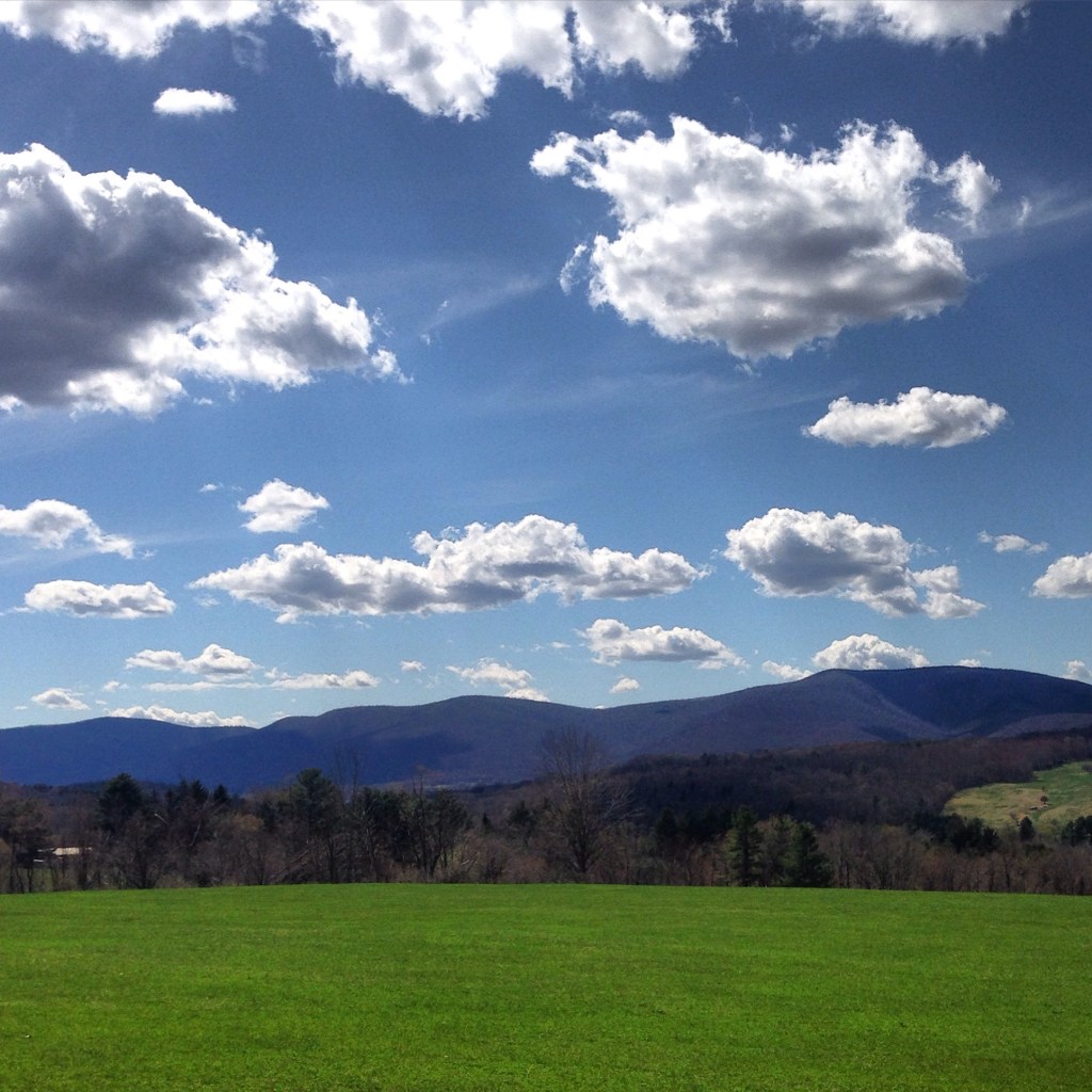 2015: Spring, in Cowtown