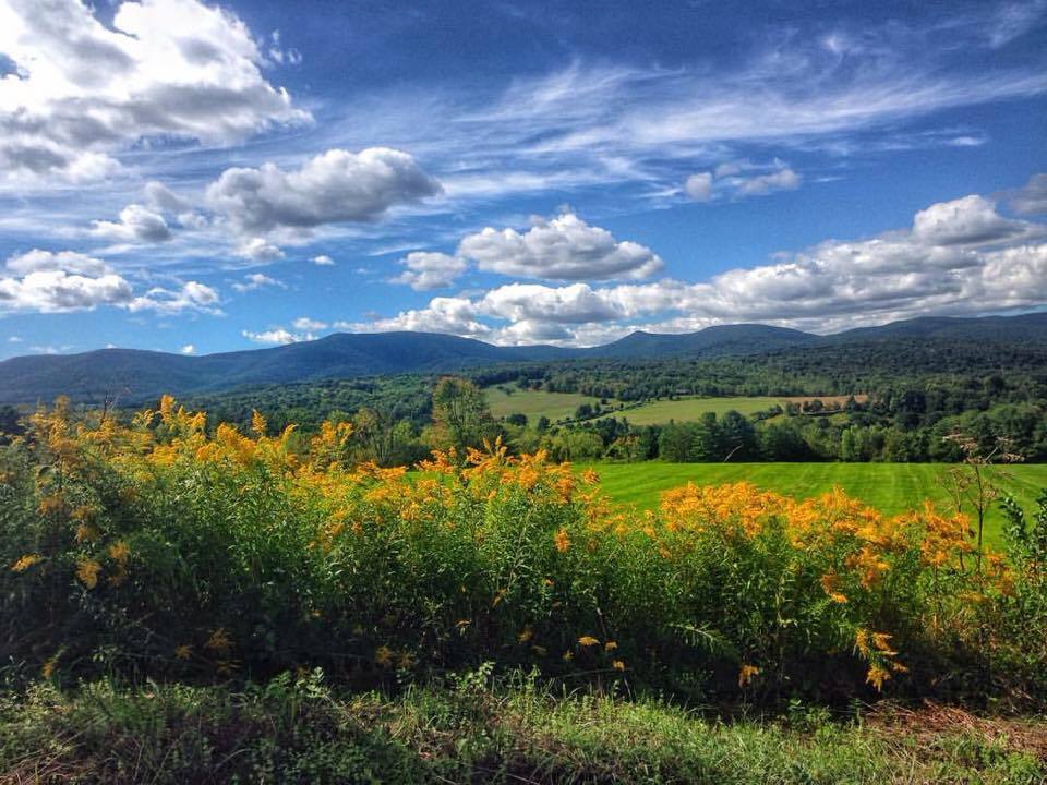 14292376_10154148063866387_417114616083578698_n