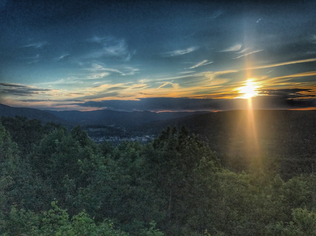 2019: A year in pictures