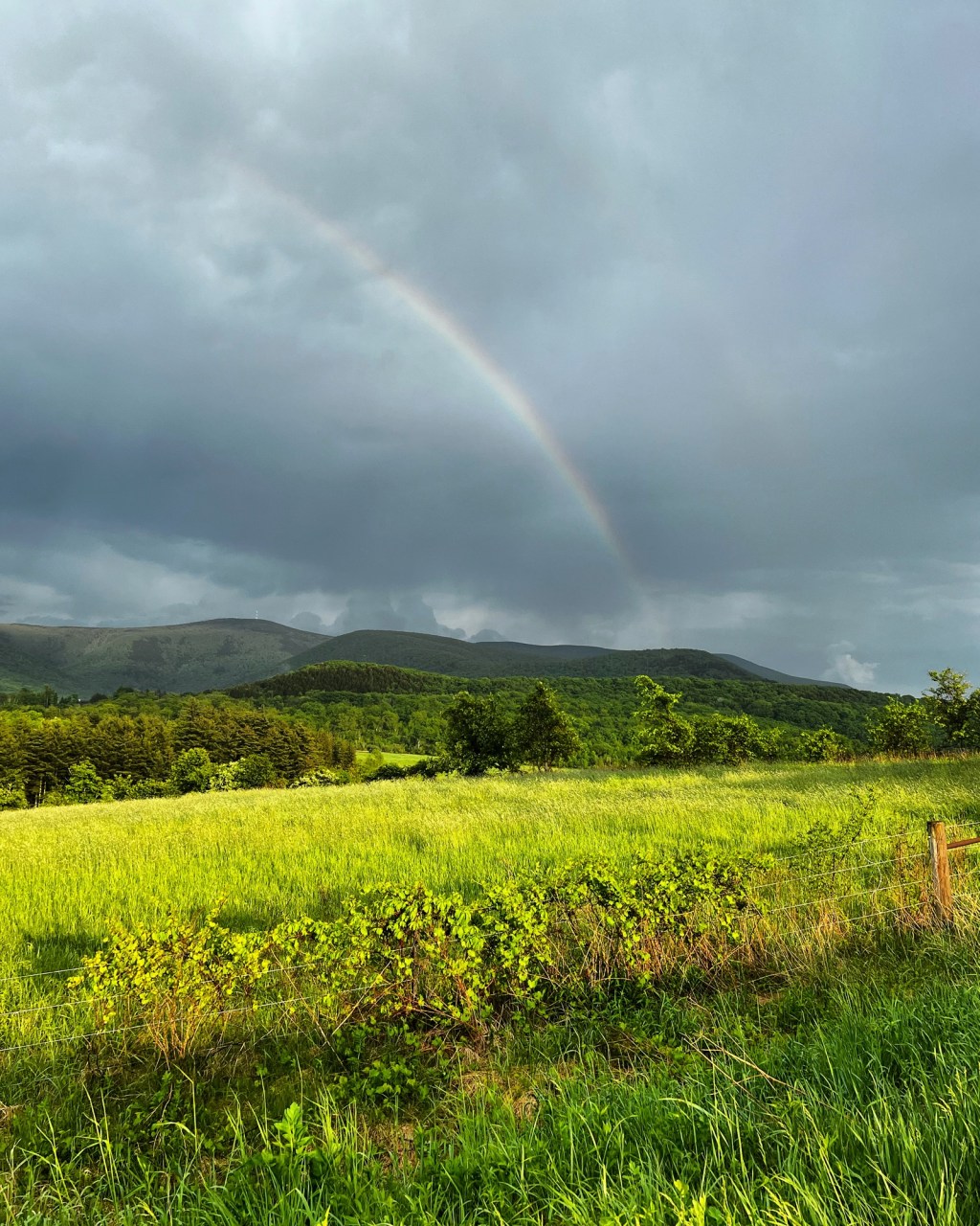 And so with the sunshine&nbsp;…