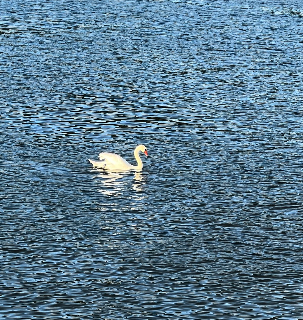 beginning at the&nbsp;beginning